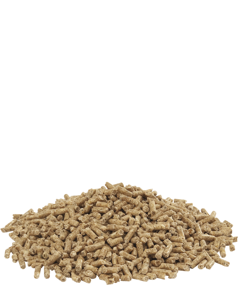 Show 3 pellet 5kg