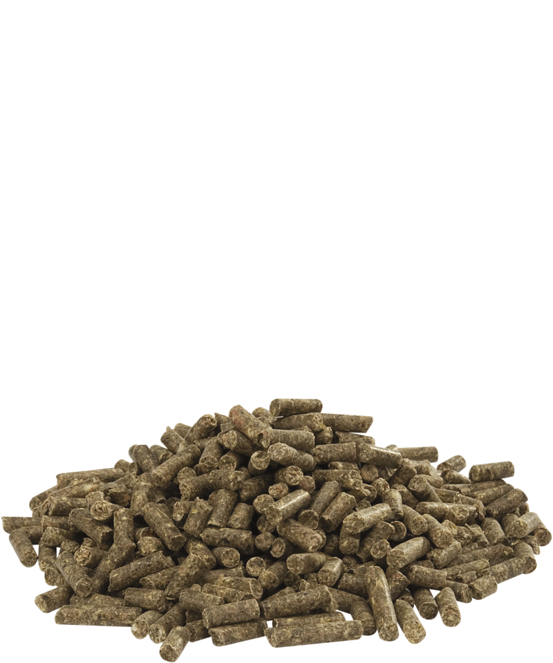 Cuni fit plus 20kg