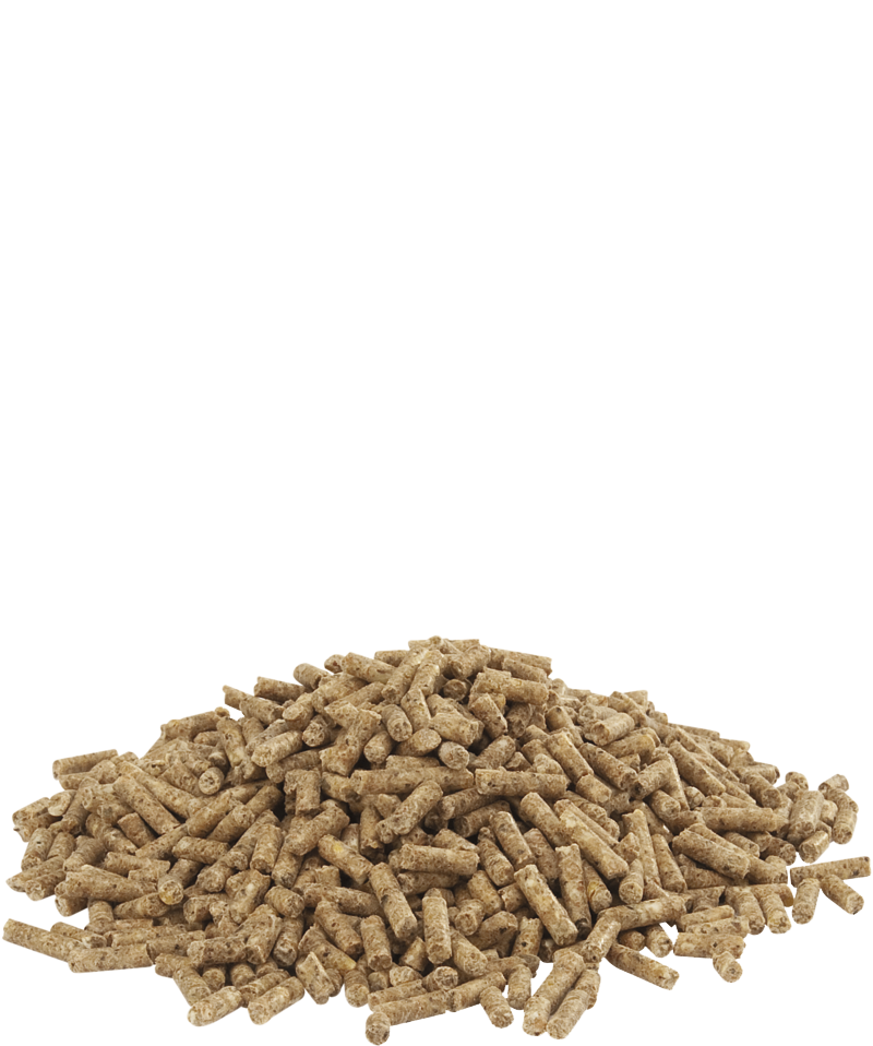 Duck 2 Pellet 20kg