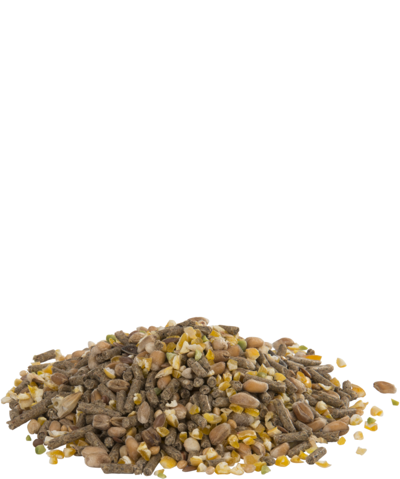Gold 4 Mini Mix 5kg