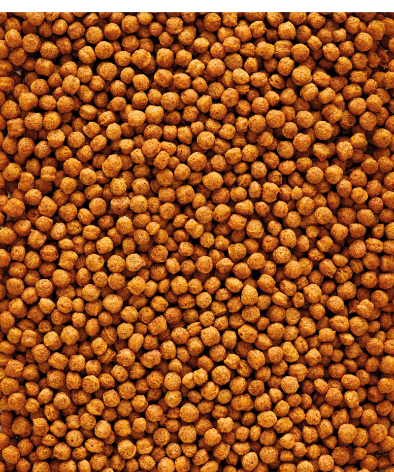 Nutribird F16 800gm