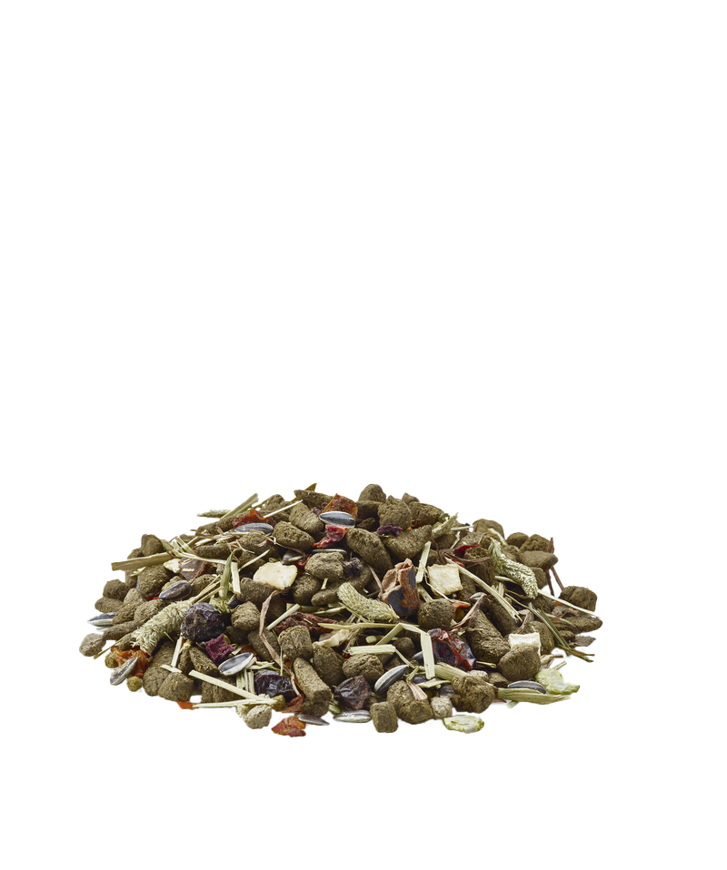 Chinchilla 700gm