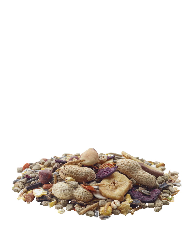 Nature Chip 700Gm