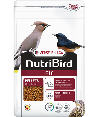 F16 800 جرام