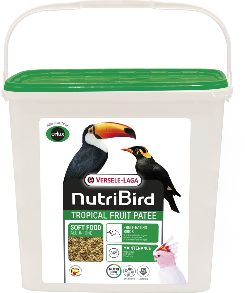 باتيه الفواكه الاستوائية 5 كجم