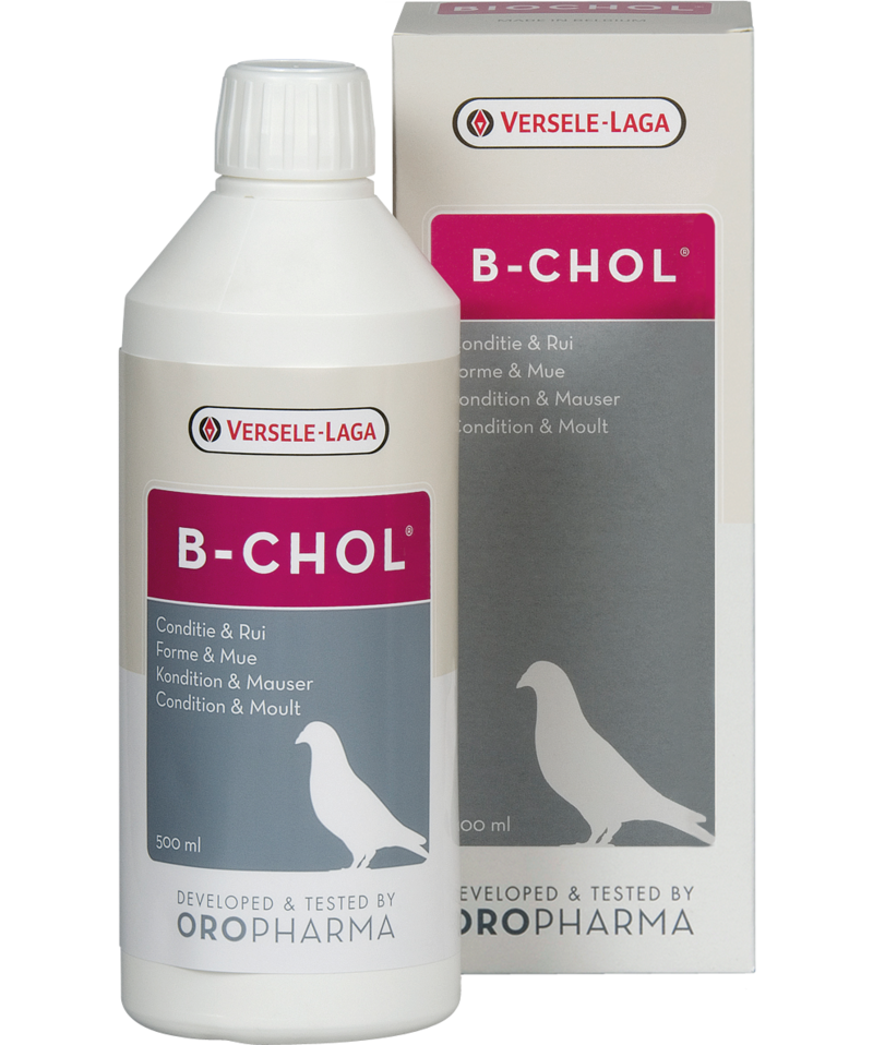 B-Chol - liver tonic 500ml