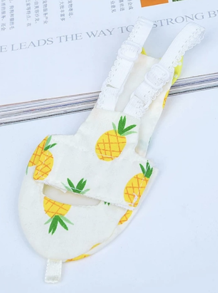 Bird Diapers Pineapple XS