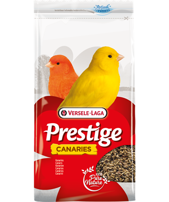 Canary Promo 4.4kg