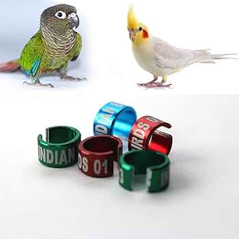 6Ml Tel Aluminum Bird Ring