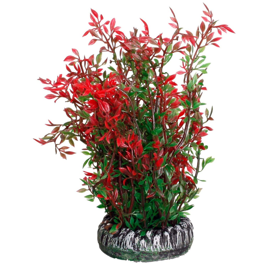 Aq. Plant Silk Brasil Plant 6 Xs