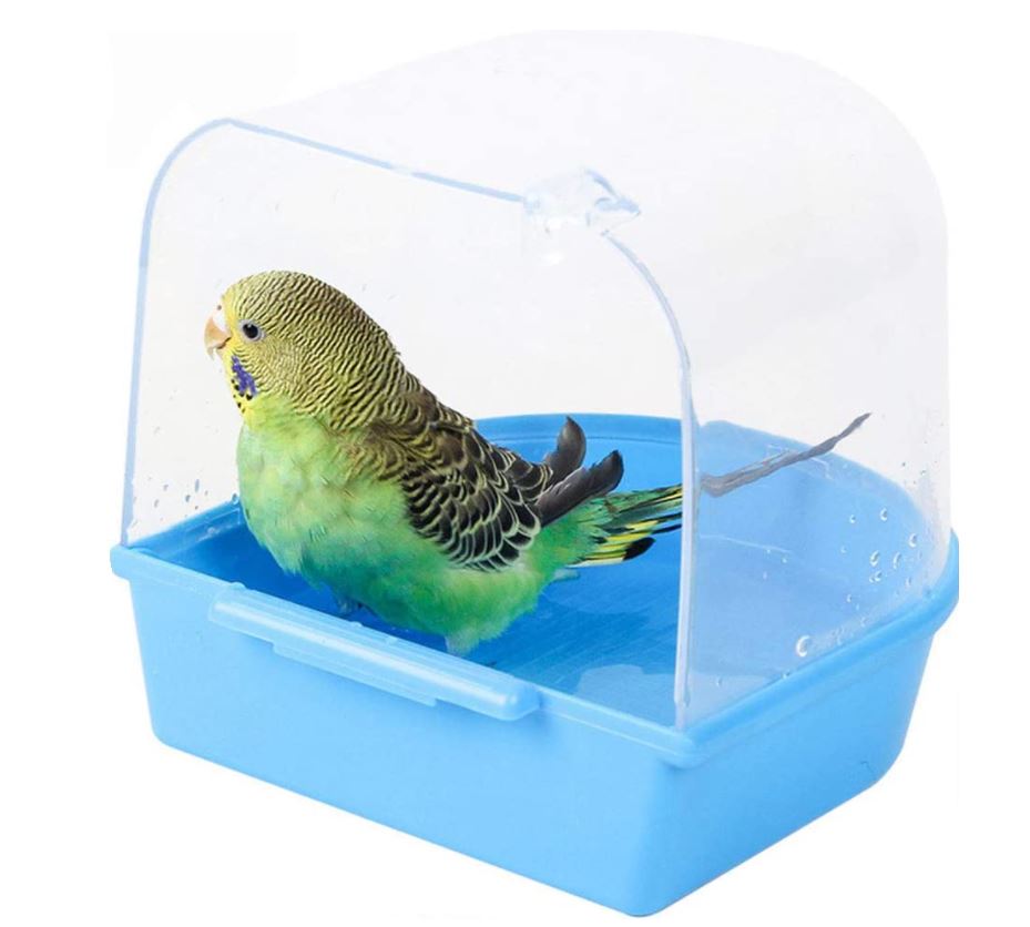 Bird Bath Tub