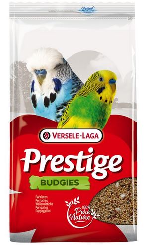 Budgies 4KG