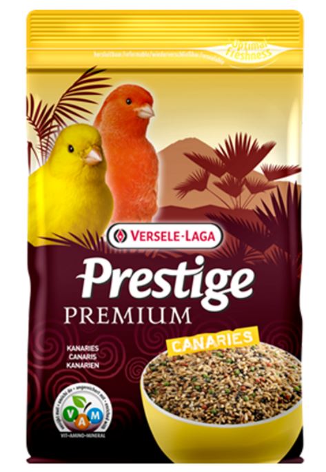 كناري ممتاز 2.5 كجم