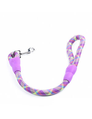 Colorfull Leash L-22Mm*48