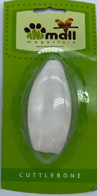 عظمة الحبار طول 12 سم*5