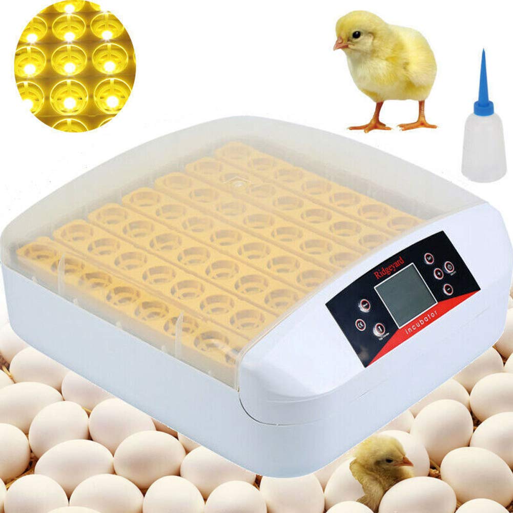Eggs 56 Incubator With Led