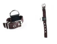 GF Pet collars L60cm*W 5cm      
