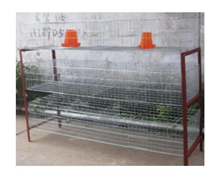 Gz Baby Chicken Cage 188*60*145Cm