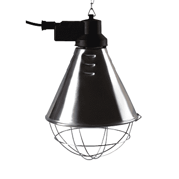 Hanger for warm chicken lamp