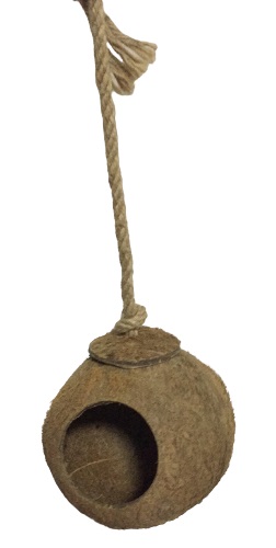 Hanging Coconut nest toy