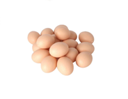 Hollow Plastic Chicken Egg brown 2Pcs