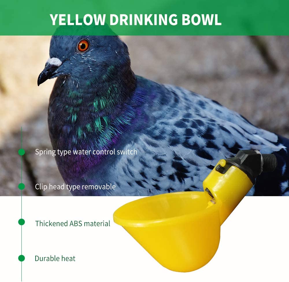 Pg01-Yellow Automatic Drinker Without Connection