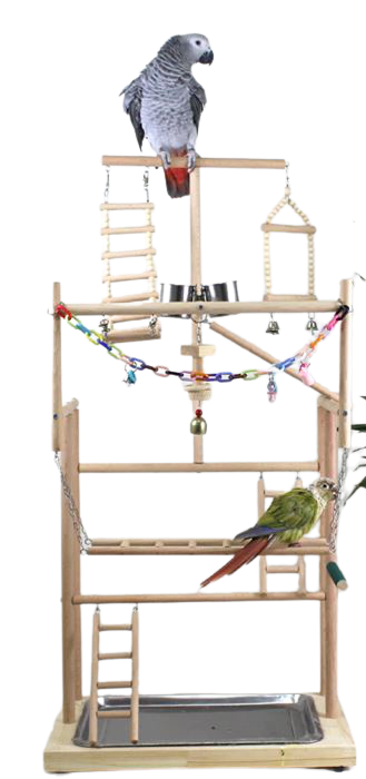 Parrot Ladder Playground L48cm * W33cm * H96cm