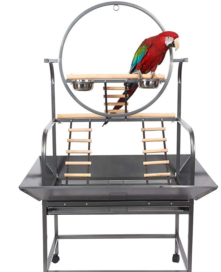 Parrot Play Stand