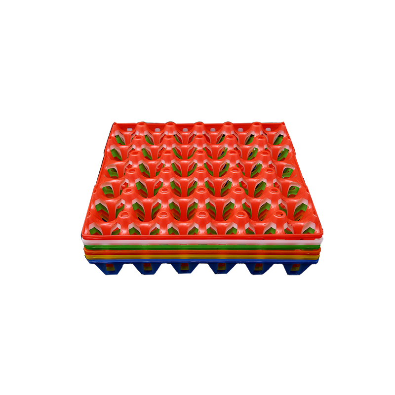 Plastic Egg Tray