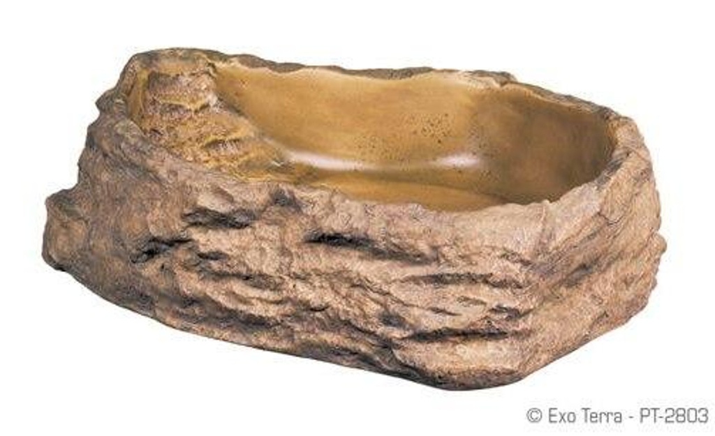 Reptile Bowl Large