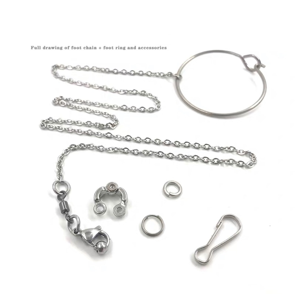 حجل مقاس 8  للببغاوات  مع سلسلة سميكة 31 سم