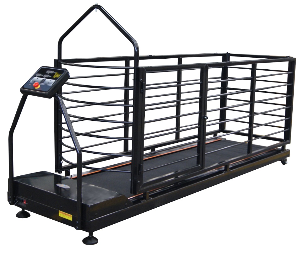 Treadmill  AC with incline 170*45.5cm