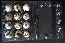 [1158202025113] 12 Eggs Transpareny Quail Box 