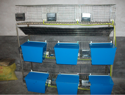 [115820015060] Electric Galvanized Rabbit Cage 200*150*60 cm 