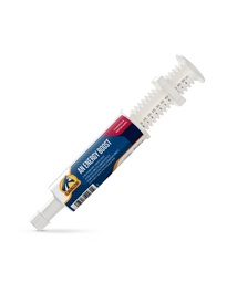 [82193802] Cavalor Energy Booster