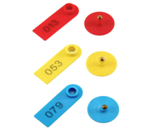 [6545] Goat Pear Tag With Black Numbering